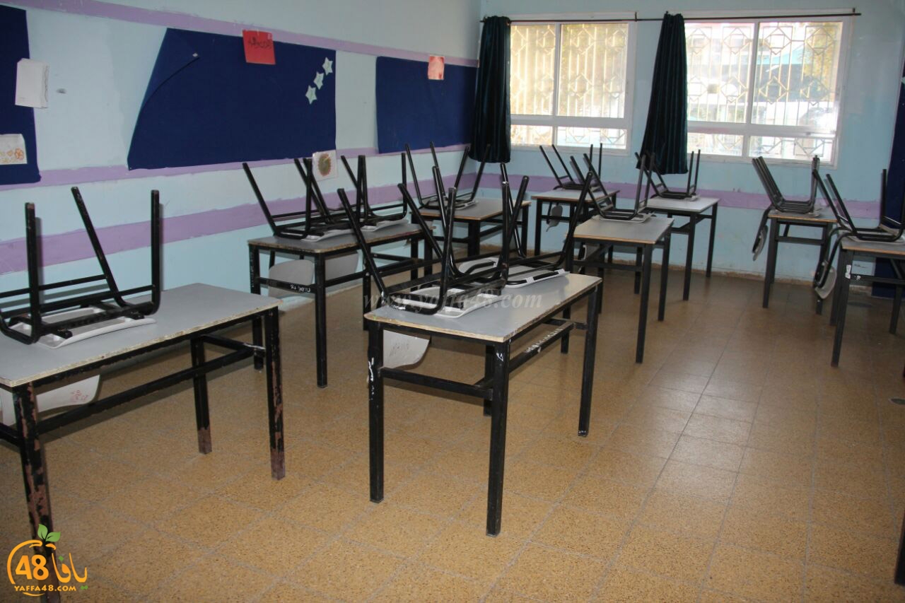 idrab shamela (19).jpg